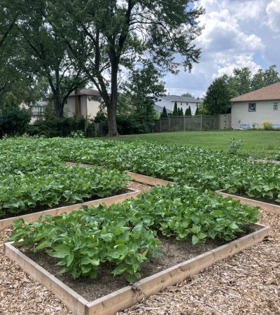 Agriculture Update 1