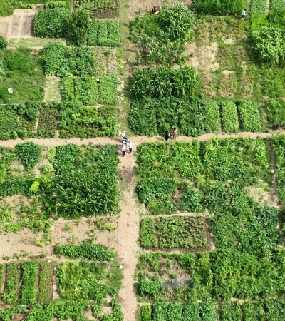 Dispatch Garden aerial (1)